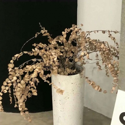 Furry插画细节灵感福瑞交流群